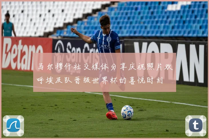 马尔穆什社交媒体分享庆祝照片欢呼埃及队晋级世界杯的喜悦时刻