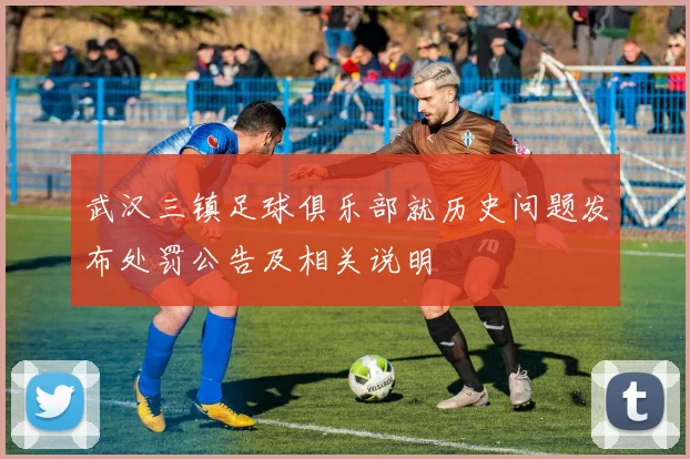 武汉三镇足球俱乐部就历史问题发布处罚公告及相关说明